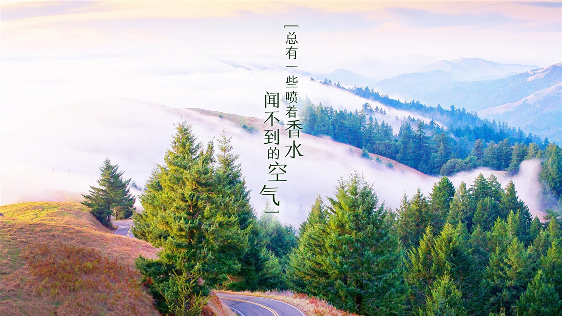 不来梅双边路推进造成对手混乱，不来梅最强阵容