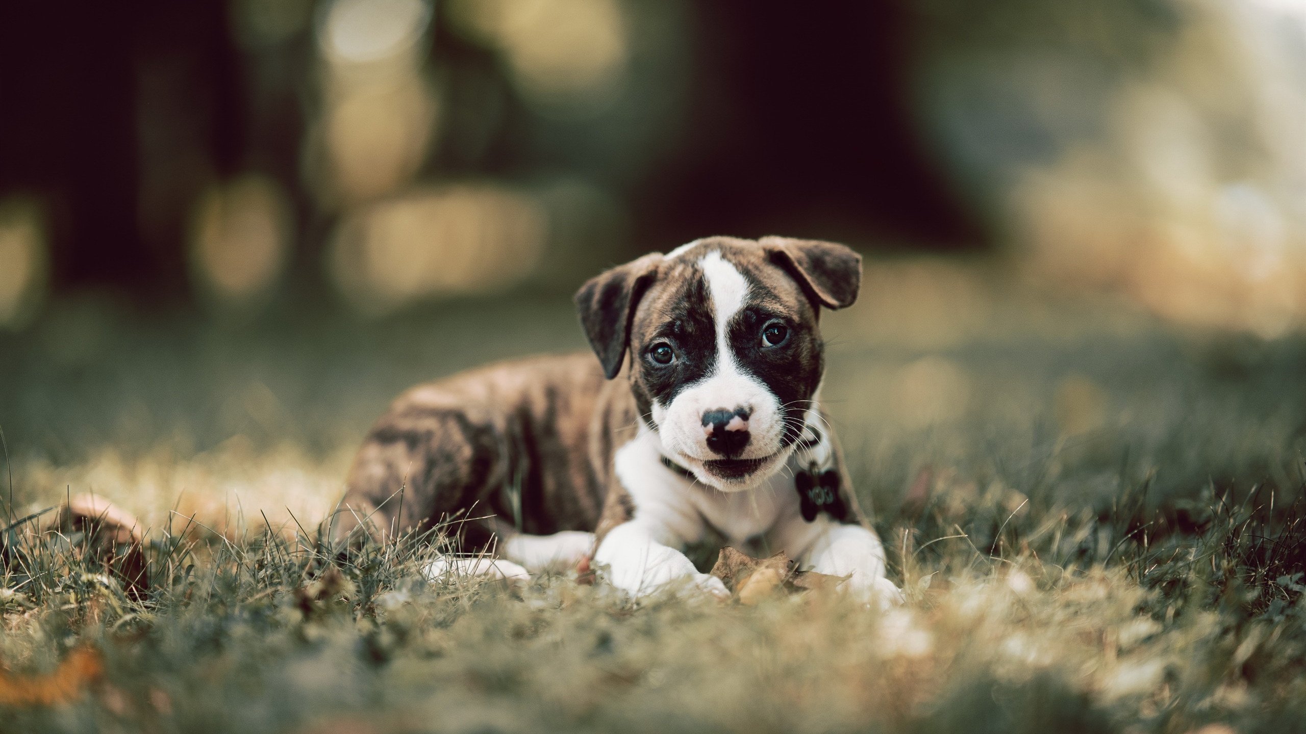 国际热身赛U23国足逆袭 球员精神振奋，2020国足热身赛