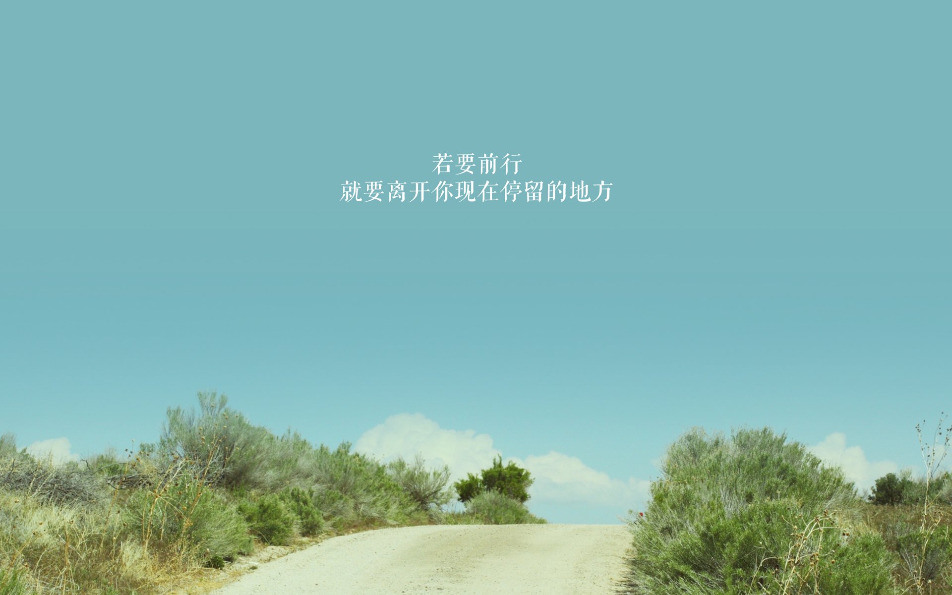 波兰队未来展望：加强国内青训资源，挖掘潜力球员，波兰队的