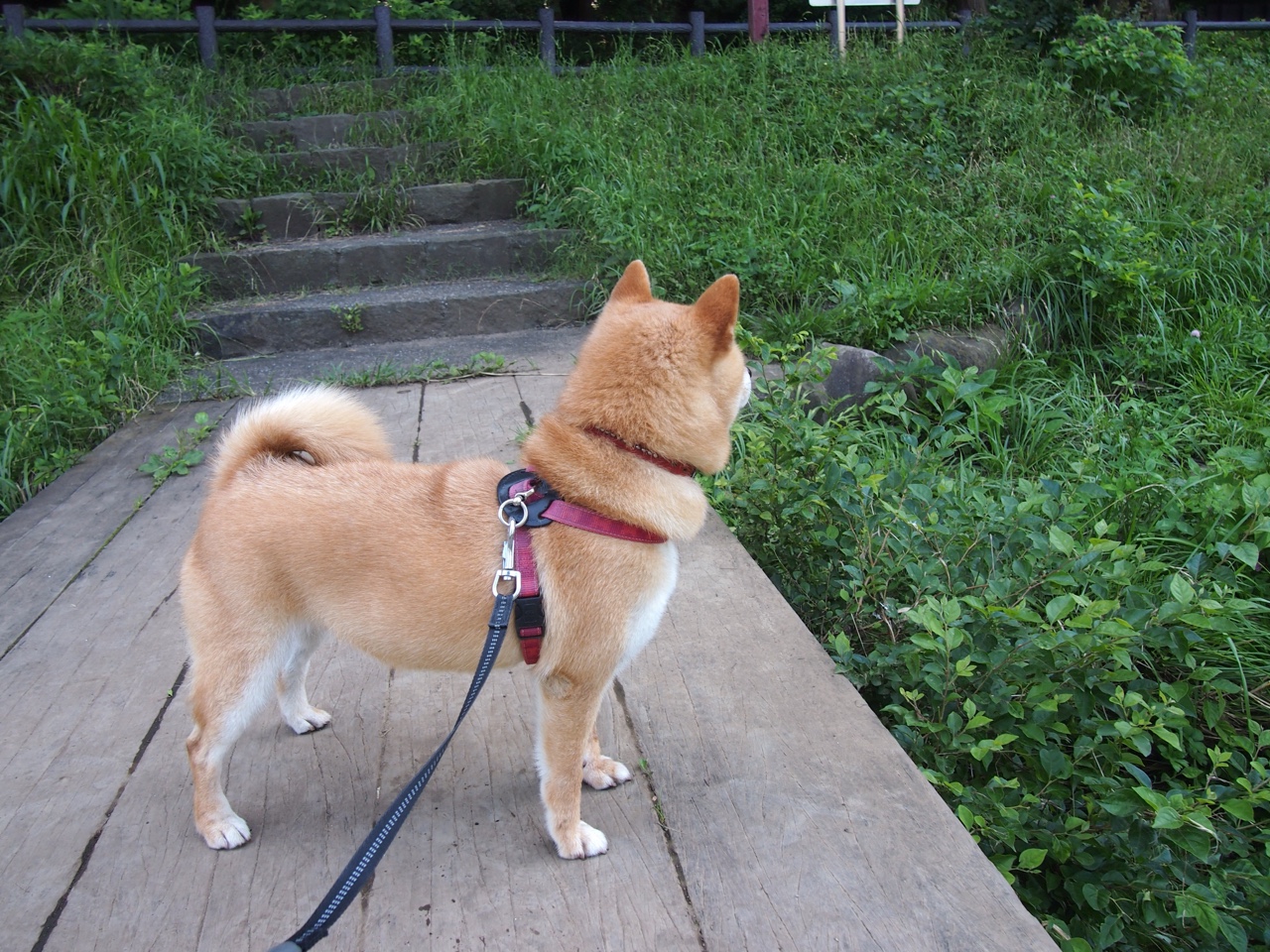 职业球员防守意识培养严重滞后,防守持球队员需要防什么