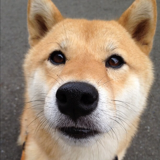 万乐天女子50米仰泳决赛强势出击，万乐天获女子50米仰泳季军