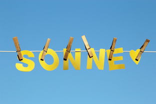 kaiyun网站-体育新闻中心公告全国夏季赛事气象应急预案，赛事应急预案模板