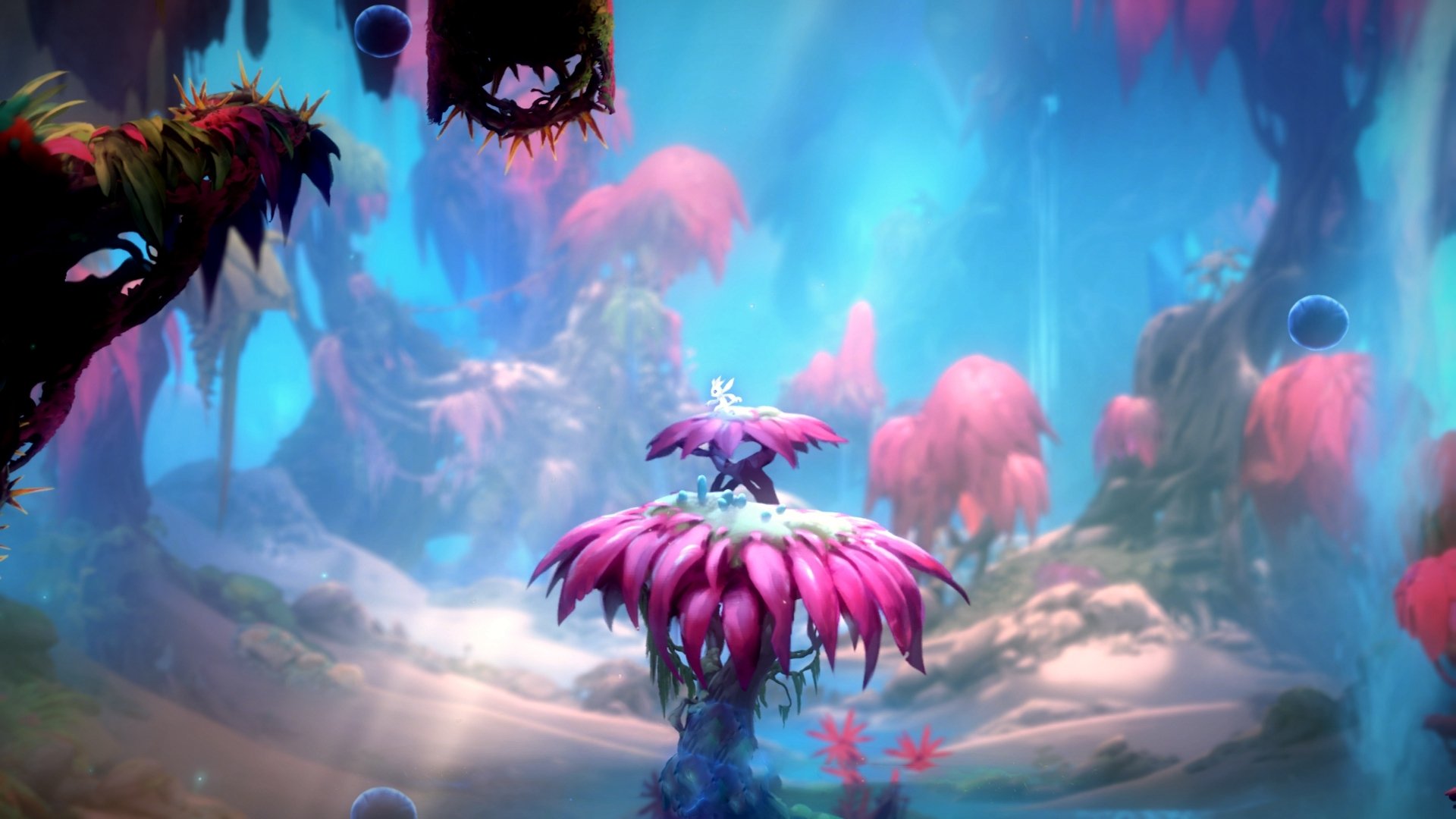 塞尔维亚男篮在欧洲预赛中拼搏奋进，开启全新征程，塞尔维亚男篮联赛